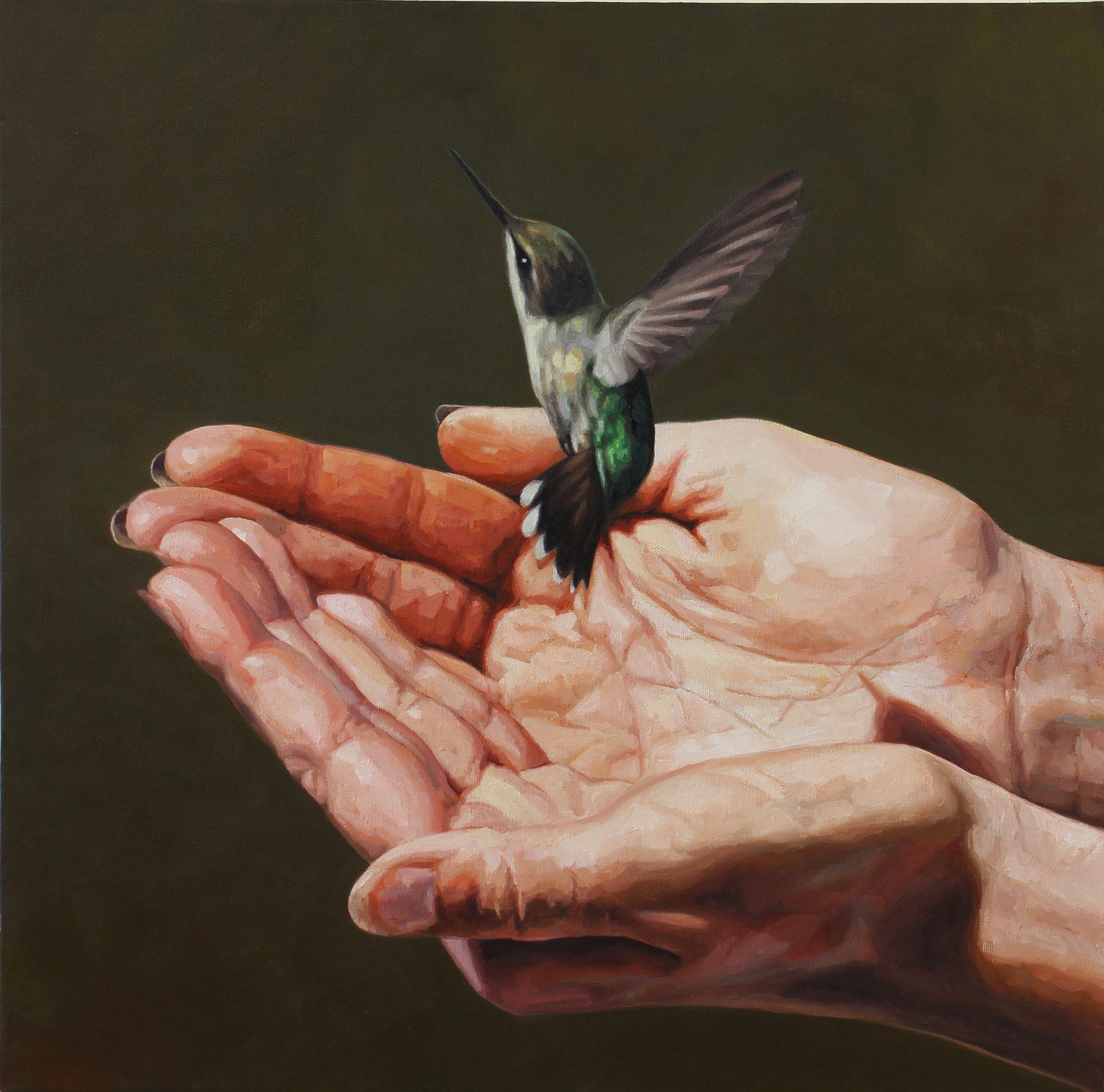 Hummingbird love (you are free to go) 2016, 24" x 24", oil on canvas