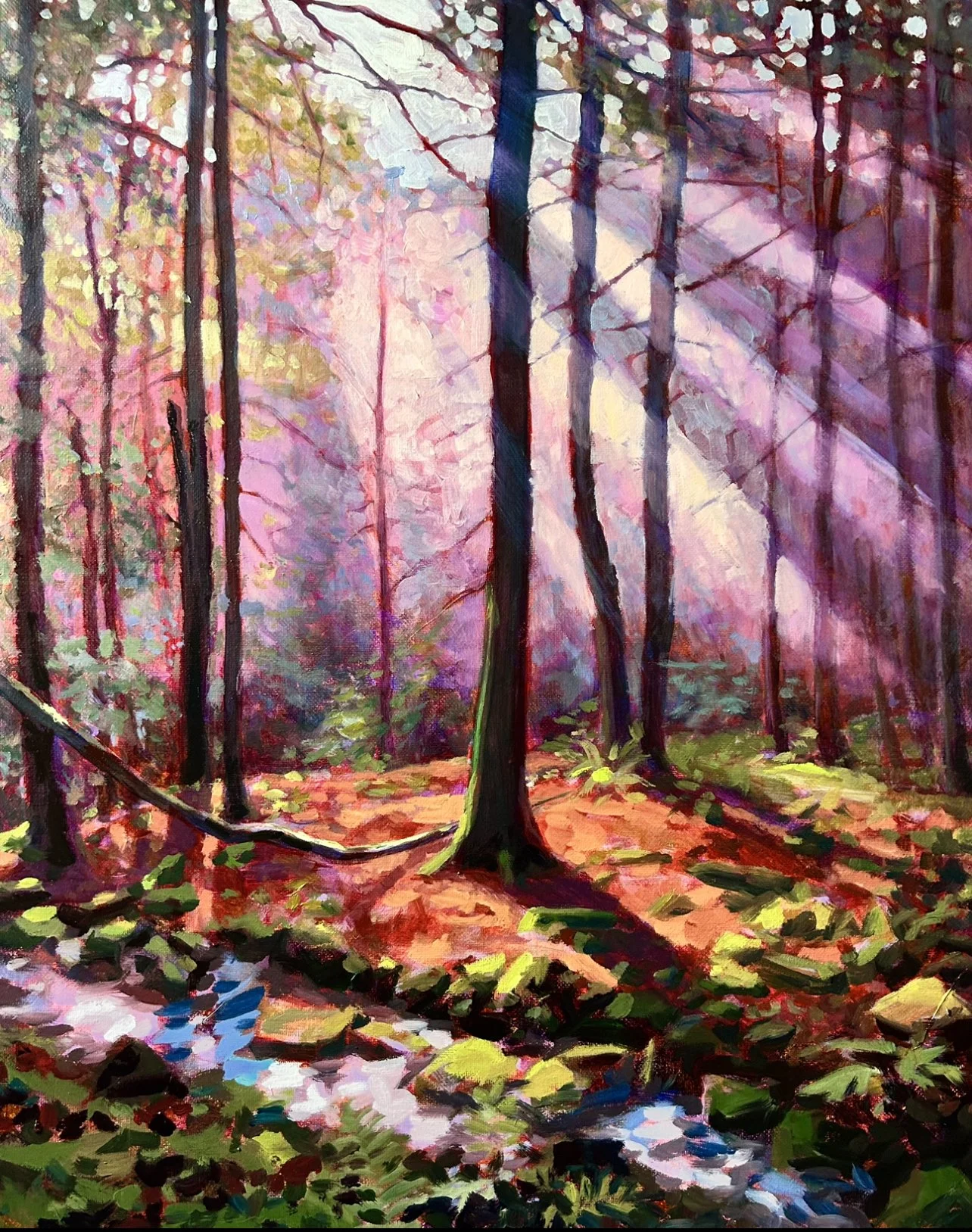 1 11 landscape.jpg
