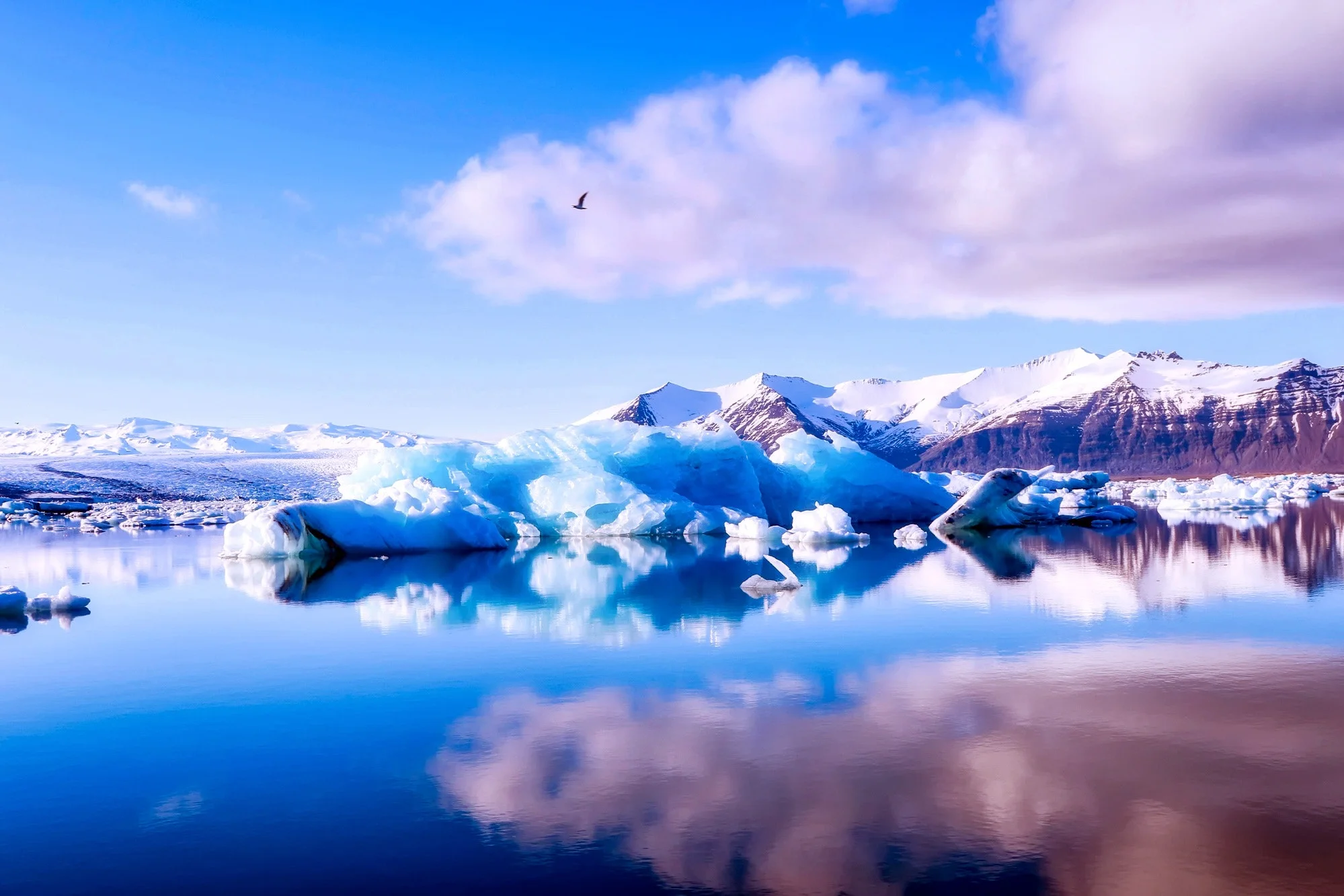 bird-clouds-cold-414101.jpg