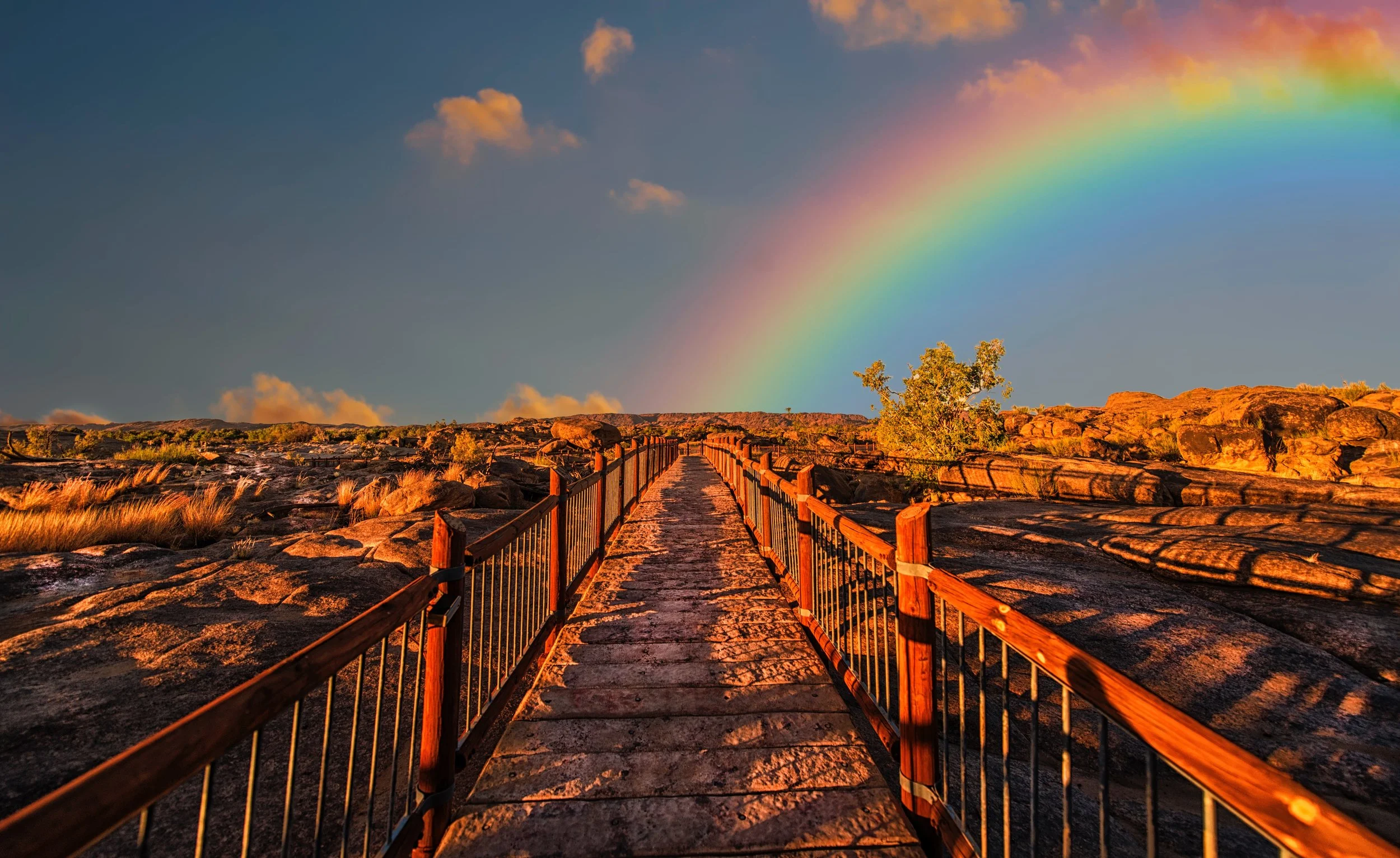 colorful-colourful-path-830829.jpg