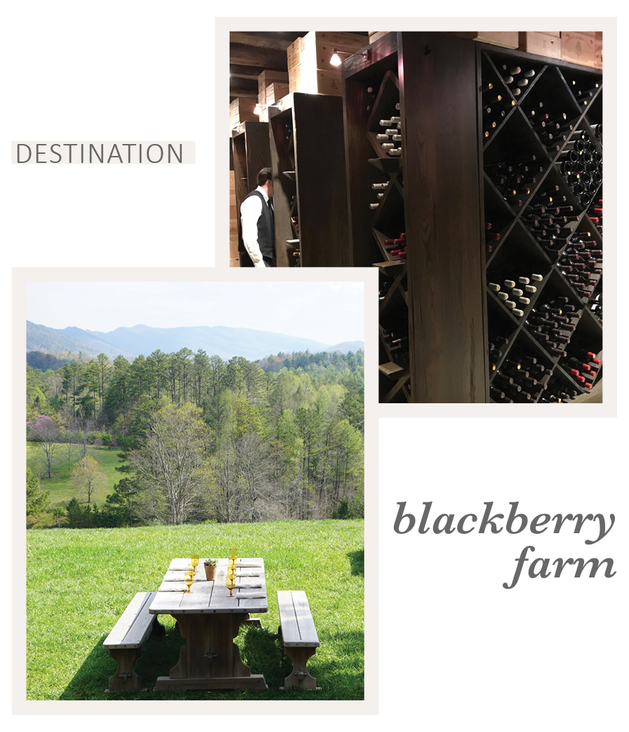 Travel to Blackberry Farm with Eileen Schlichting of Transatlantic Travel