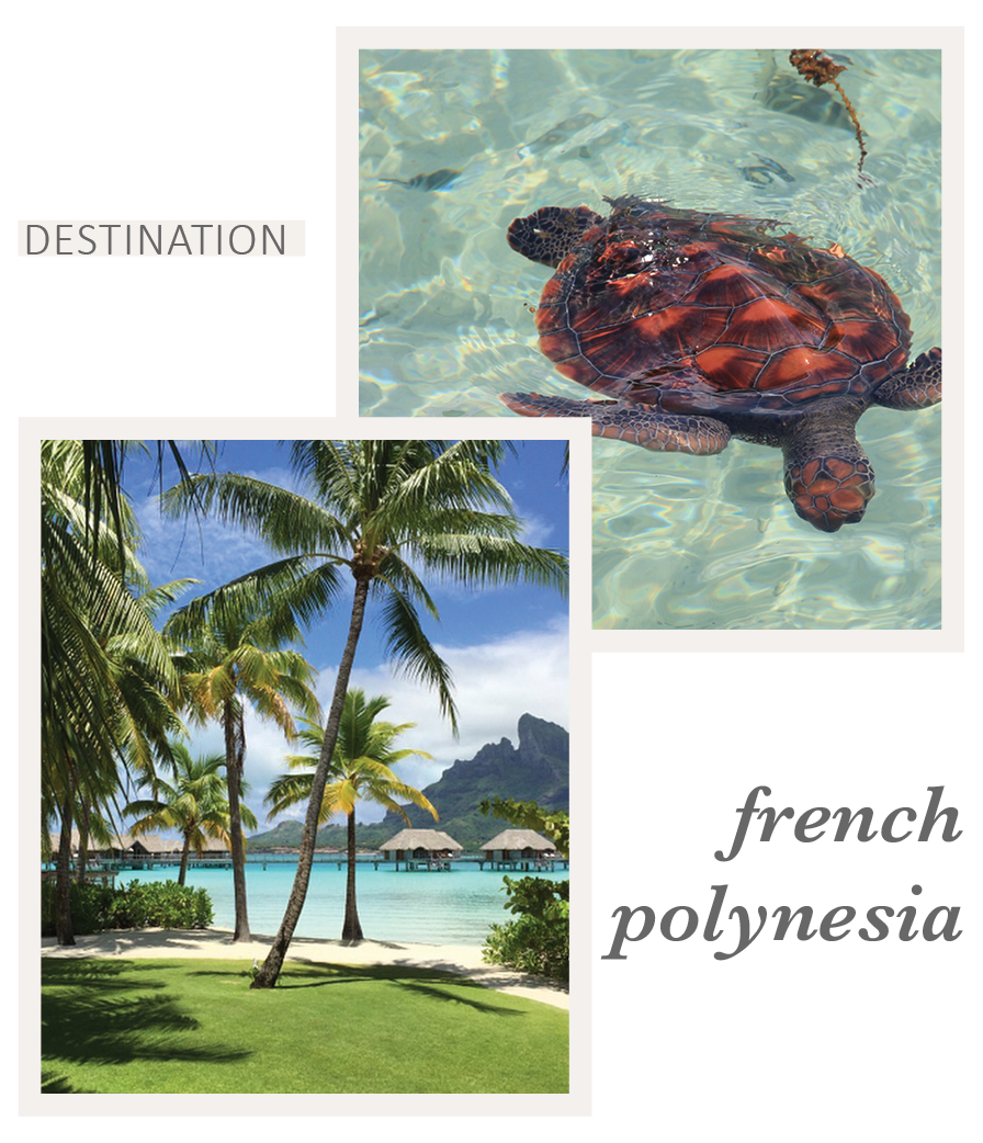 Travel to French Polynesia with Eileen Schlichting of Transatlantic Travel