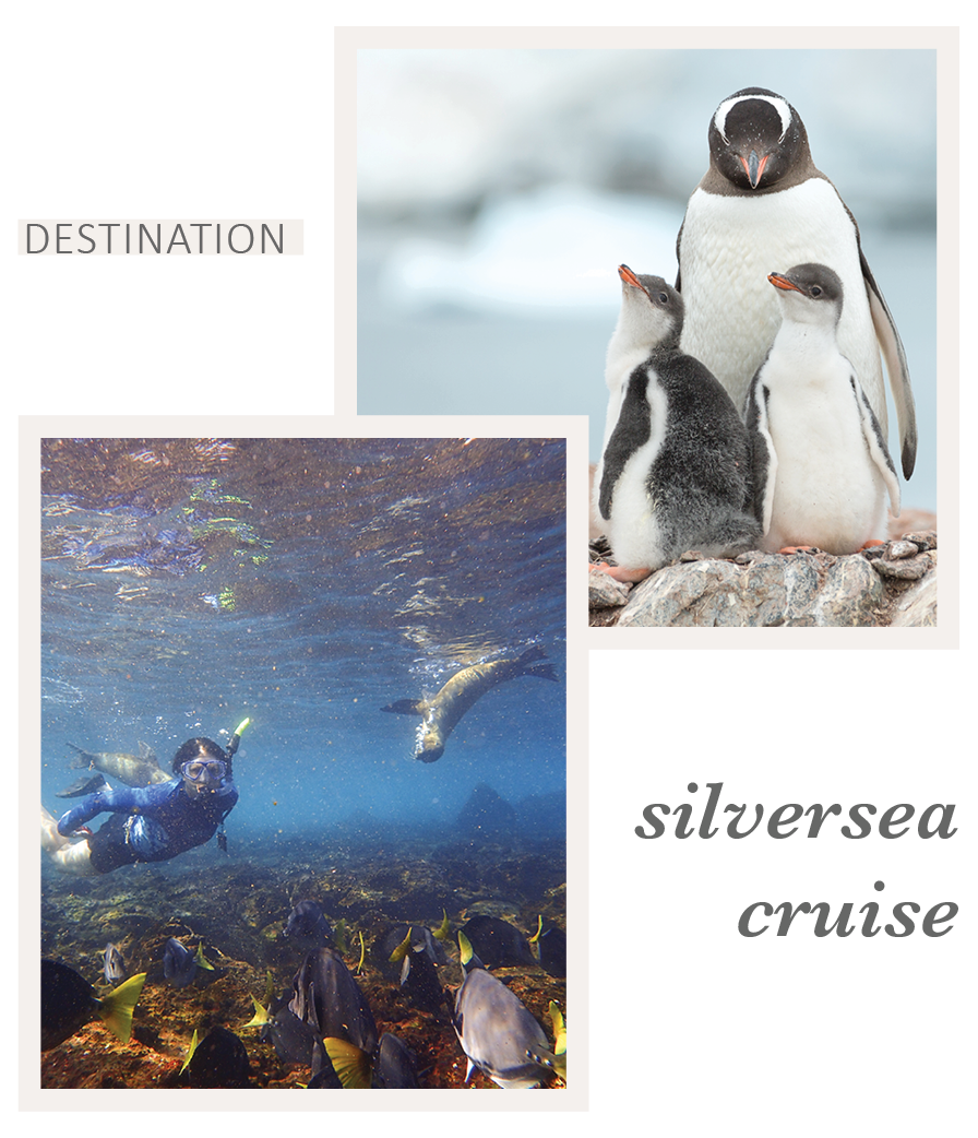 Voyage on a Silversea Cruise with Eileen Schlichting of Transatlantic Travel