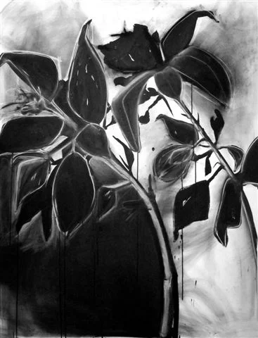  black and white II