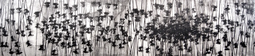 sea of thistle 