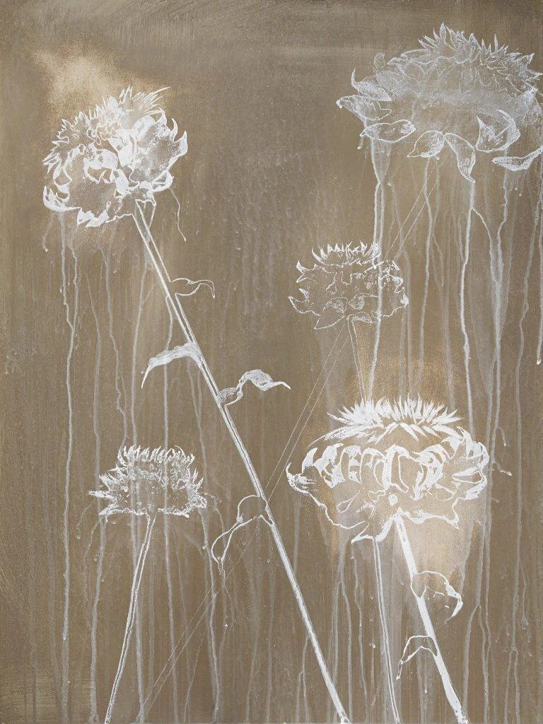 artichokes ii