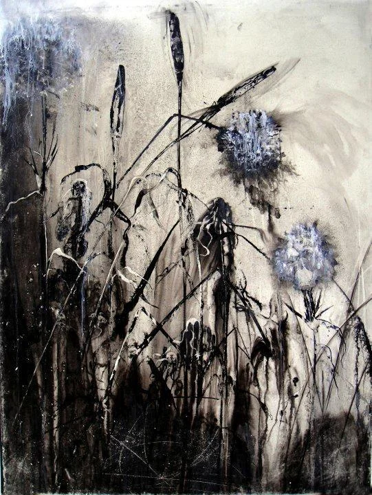 milkweed
