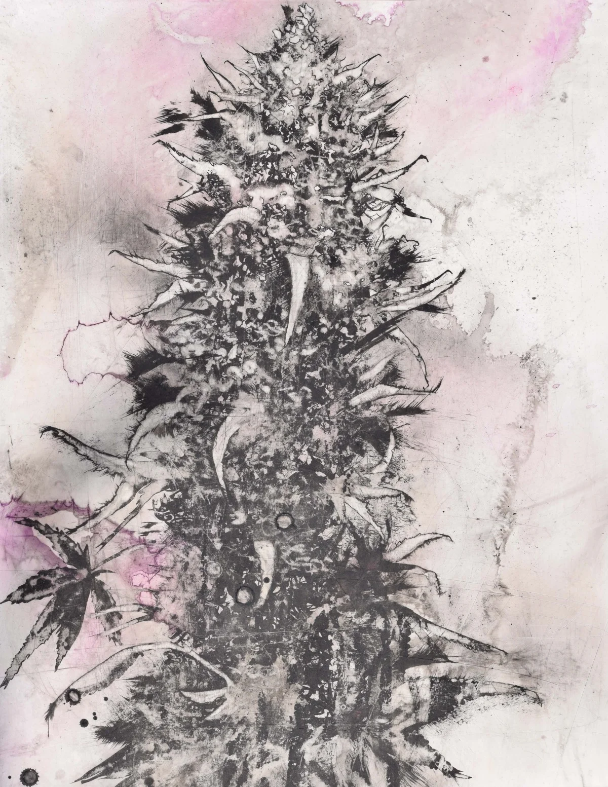 mj7