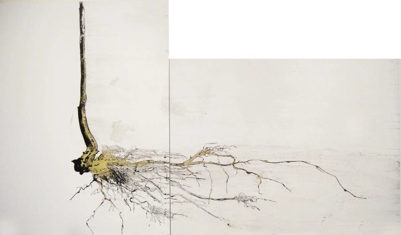 redirection 