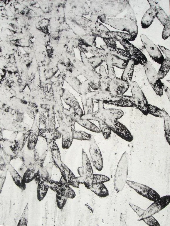 feathers and minnows V 