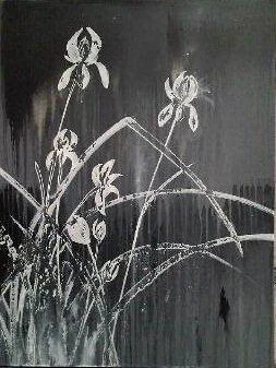 blue iris 