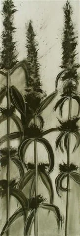   Lambs ear 2007 
 30&rdquo; x 12&rdquo; ink and charcoal on canvas  