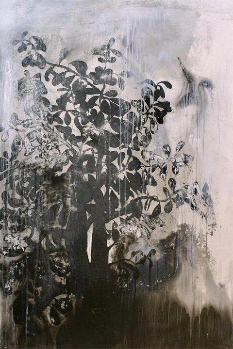   Jade 
 60x40 
 ink and charcoal on velum on panel/Trade Sabein Aelle  