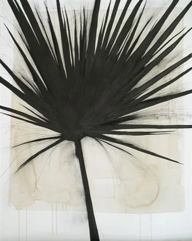 Palm 2009 