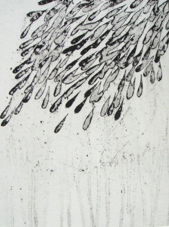 feathers and minnows IV 
