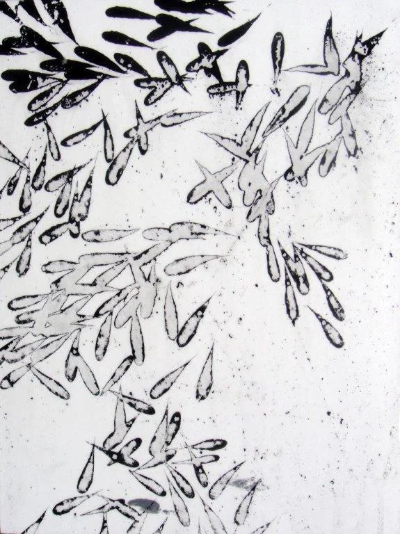 feathers and minnows VI 