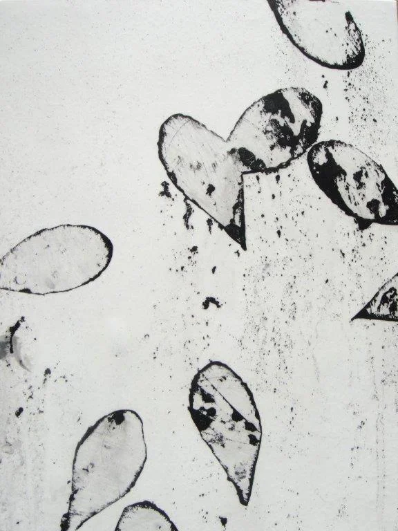 feathers and minnows I 