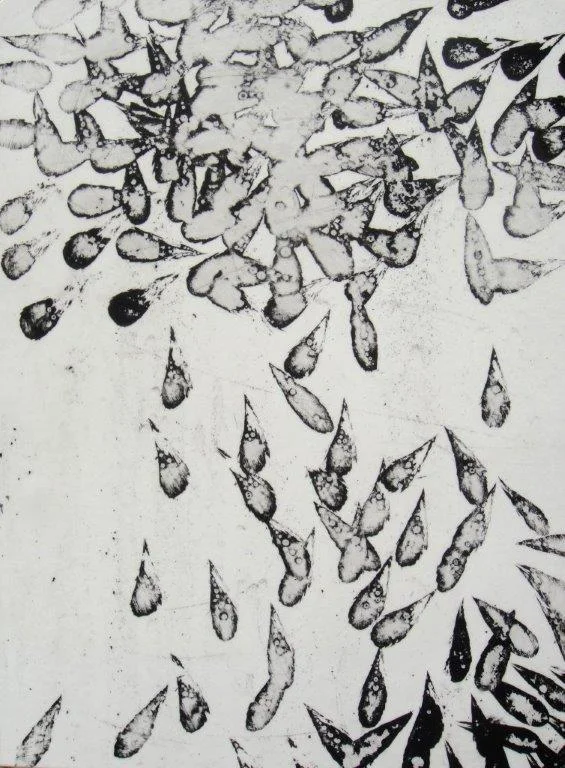feathers and minnows III