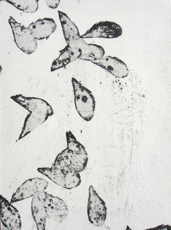 feathers and minnows II