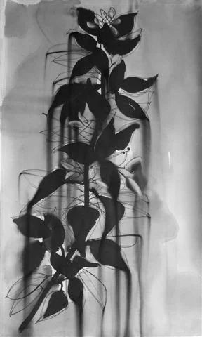   black rain 30&rdquo; x 42&rdquo; ink and charcoal on paper unframed  