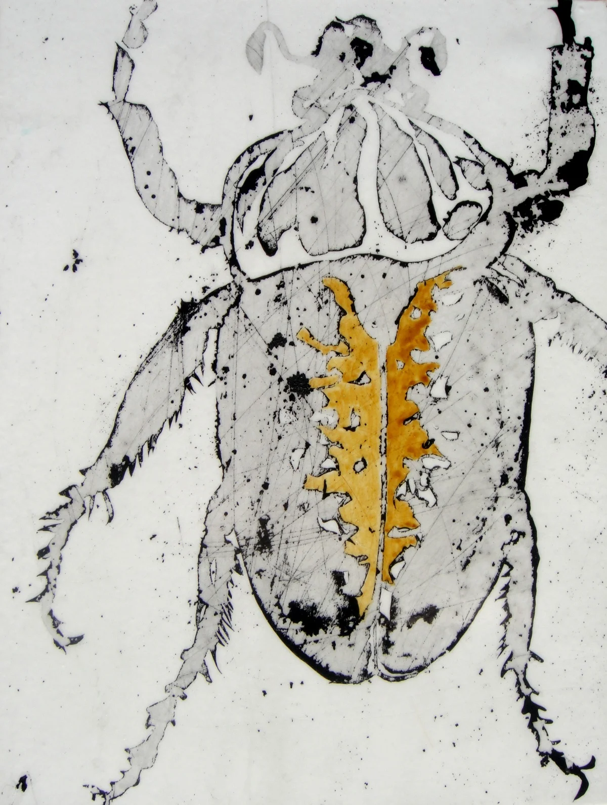 beetle II