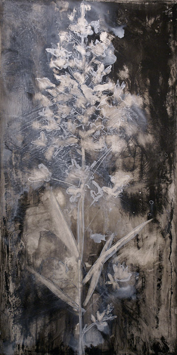   Frou Frou 
 48"x24" ink and charcoal on vellum on panel  