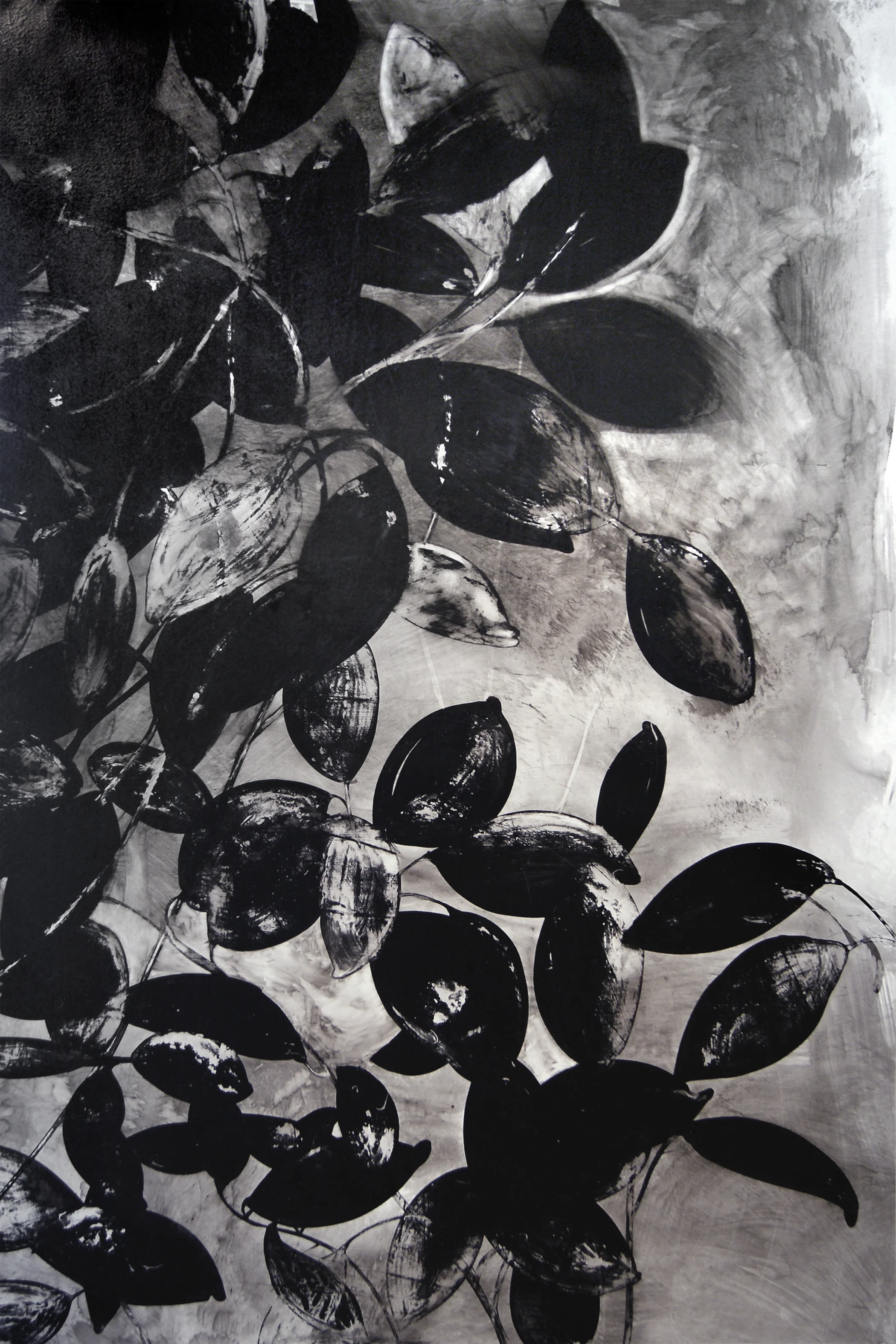 leaves