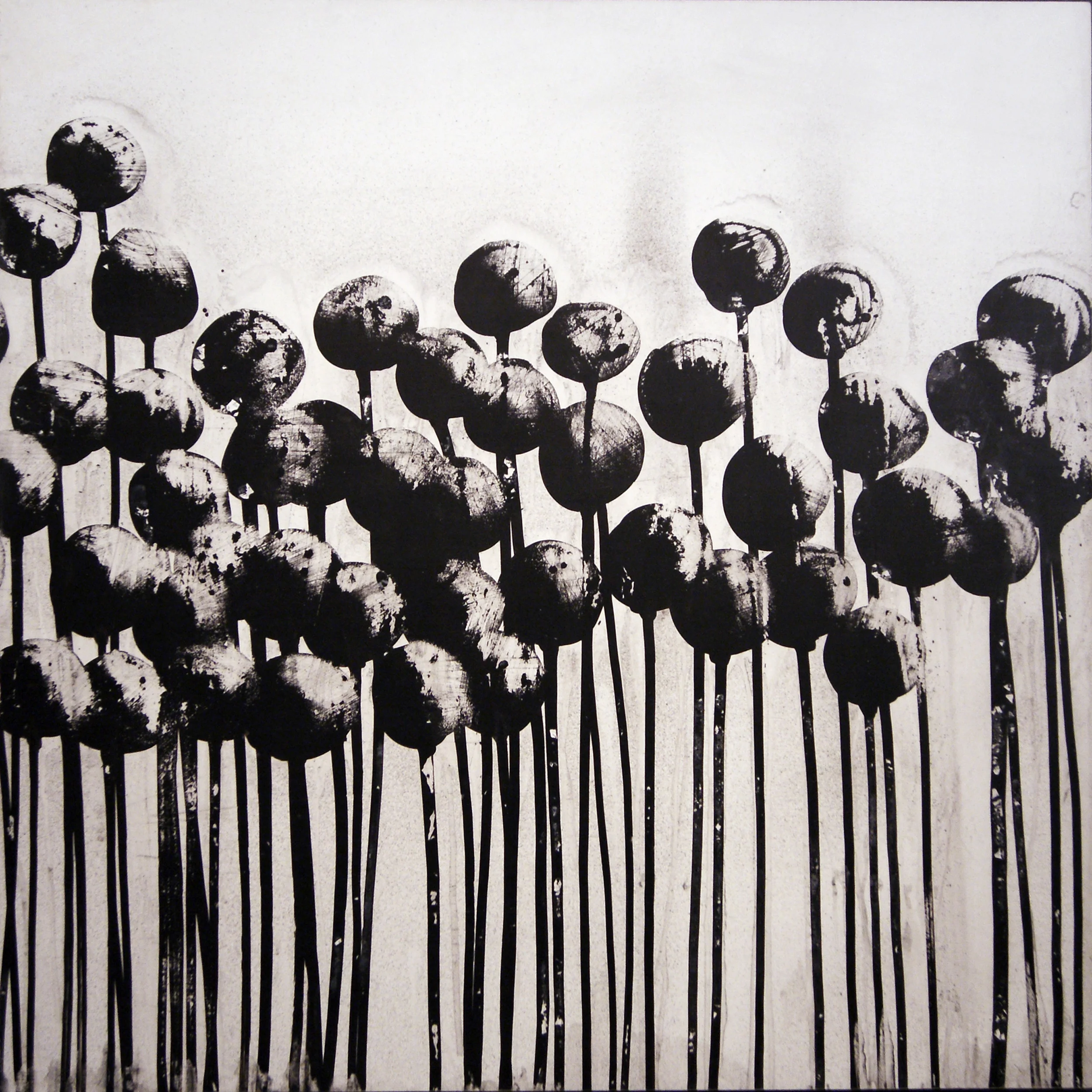 poppies II