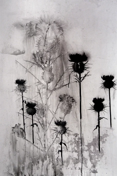 thistle IV