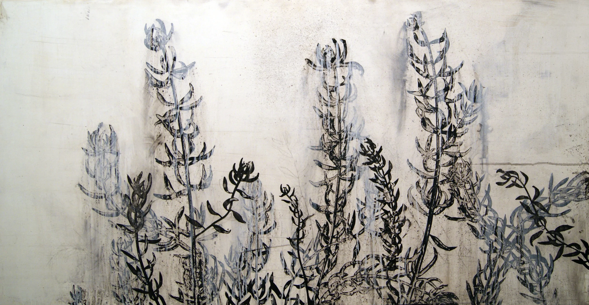 succulent II