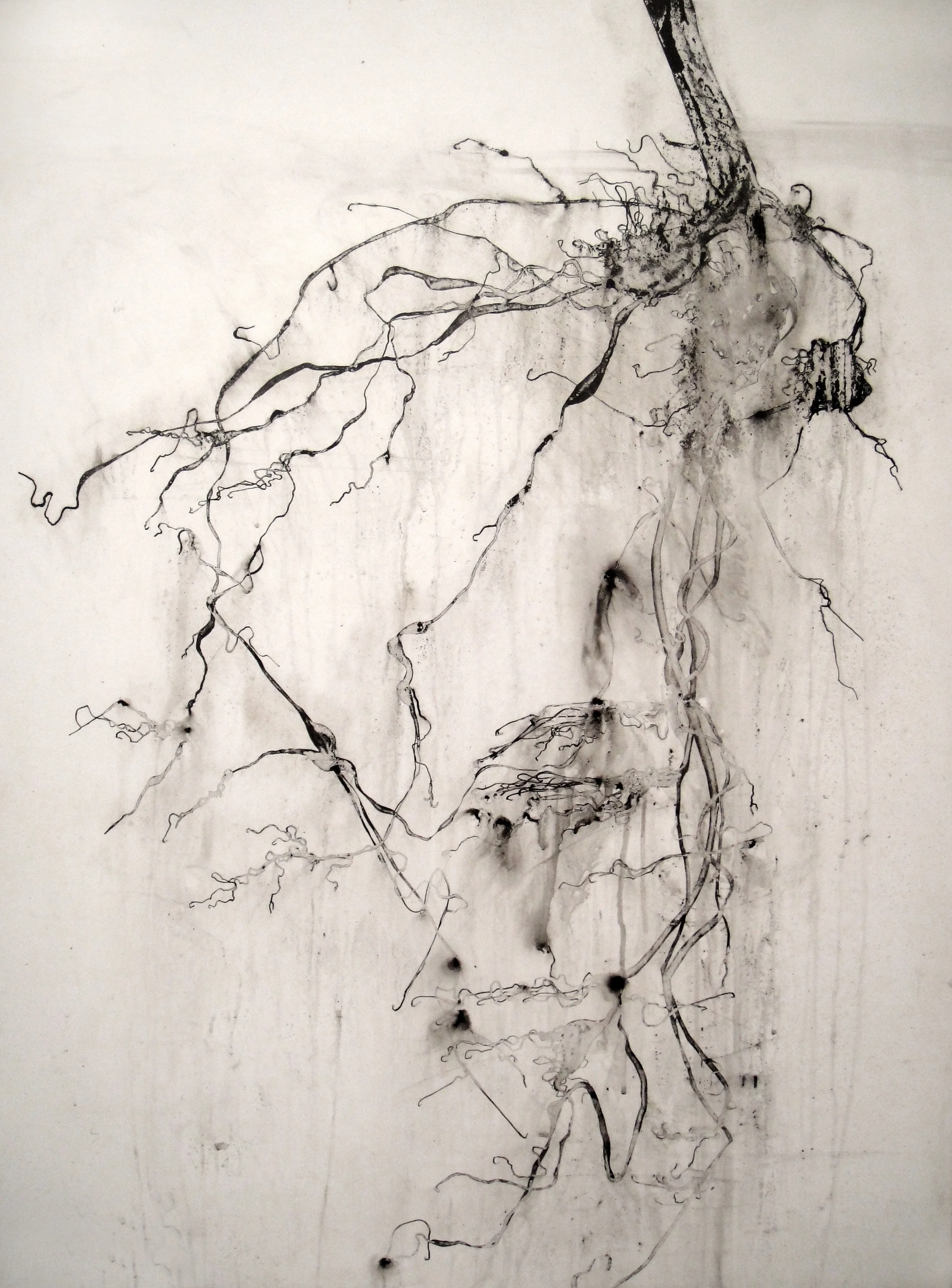 root II