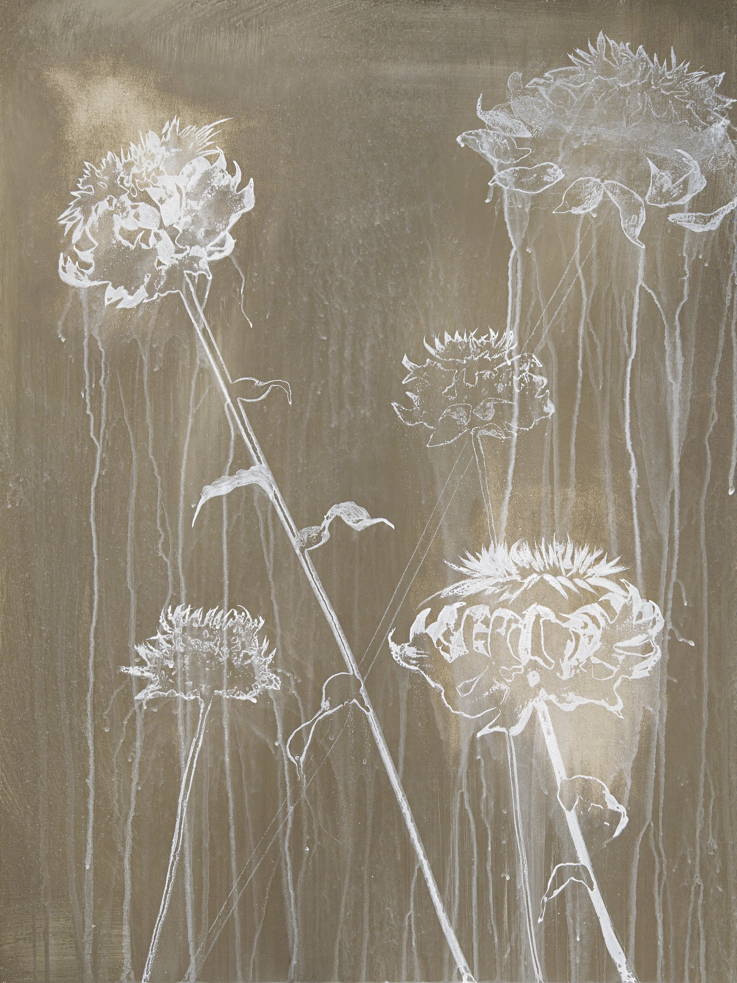 artichokes II