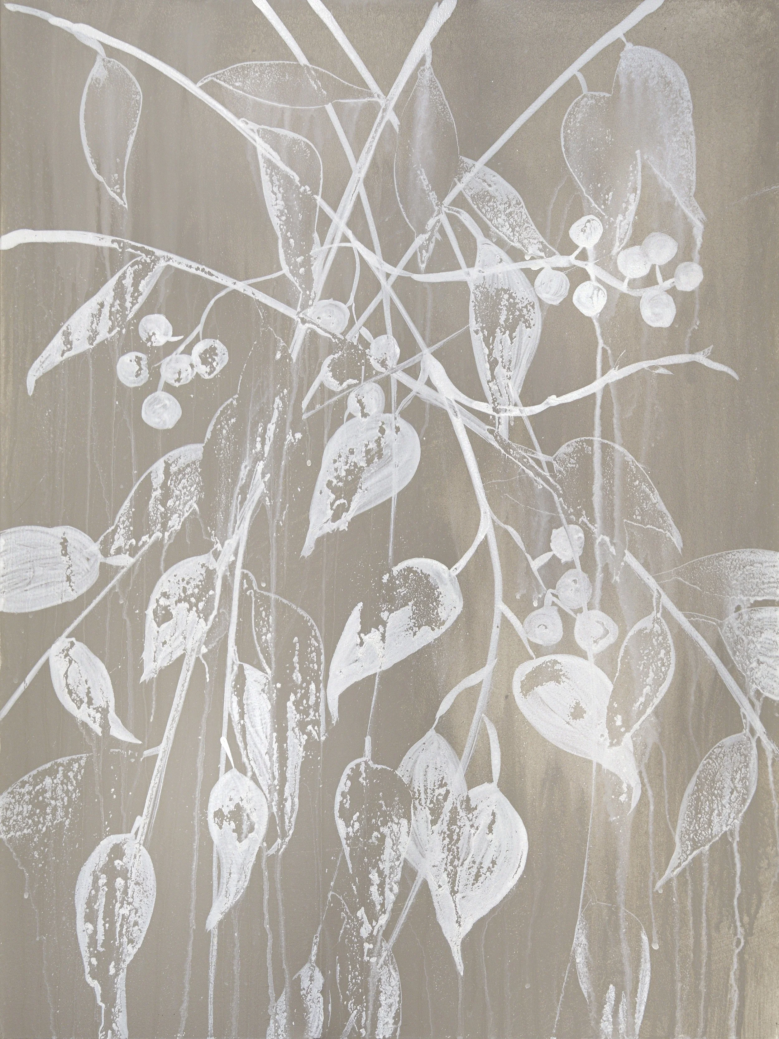 winterberry