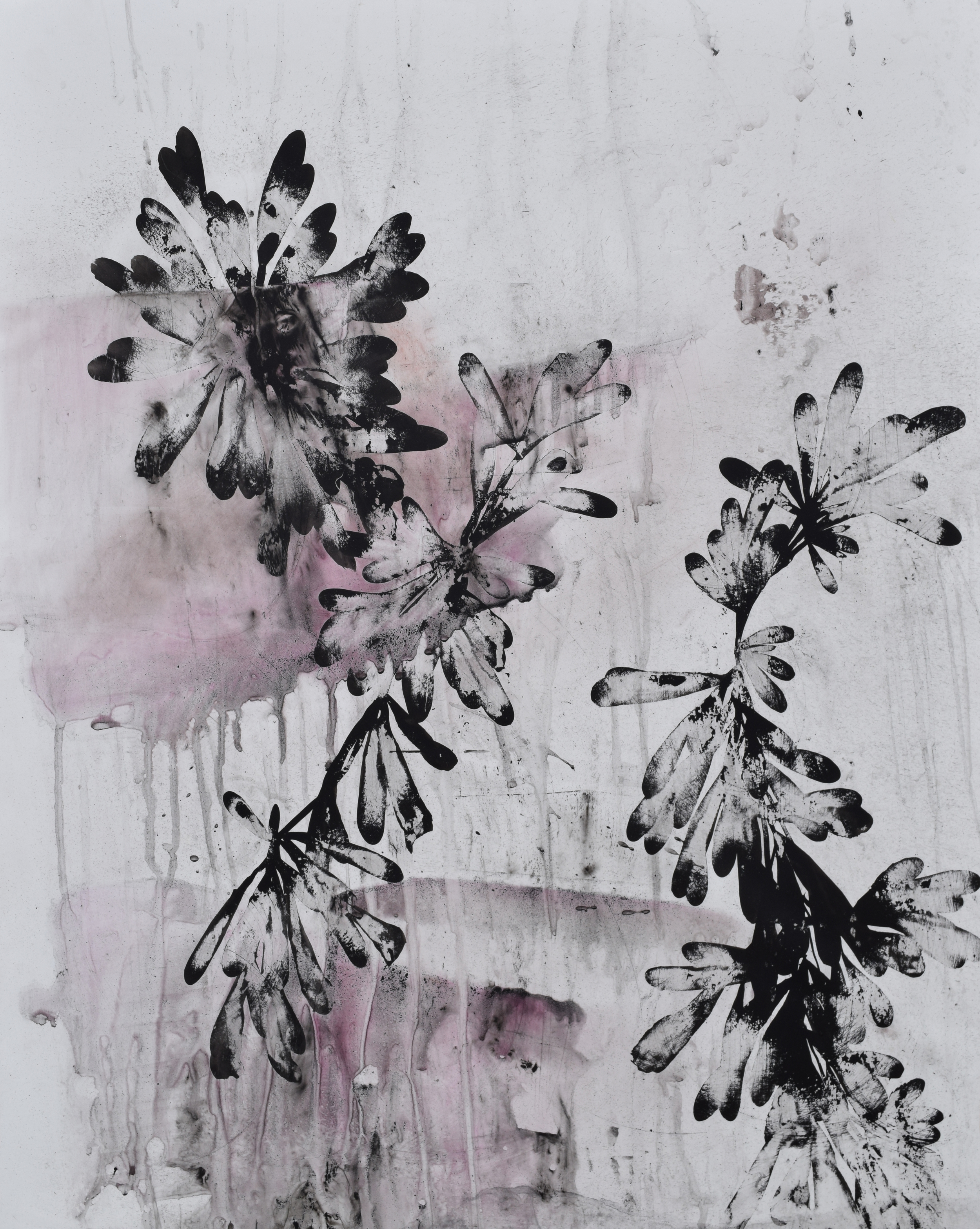 seaweed study I
