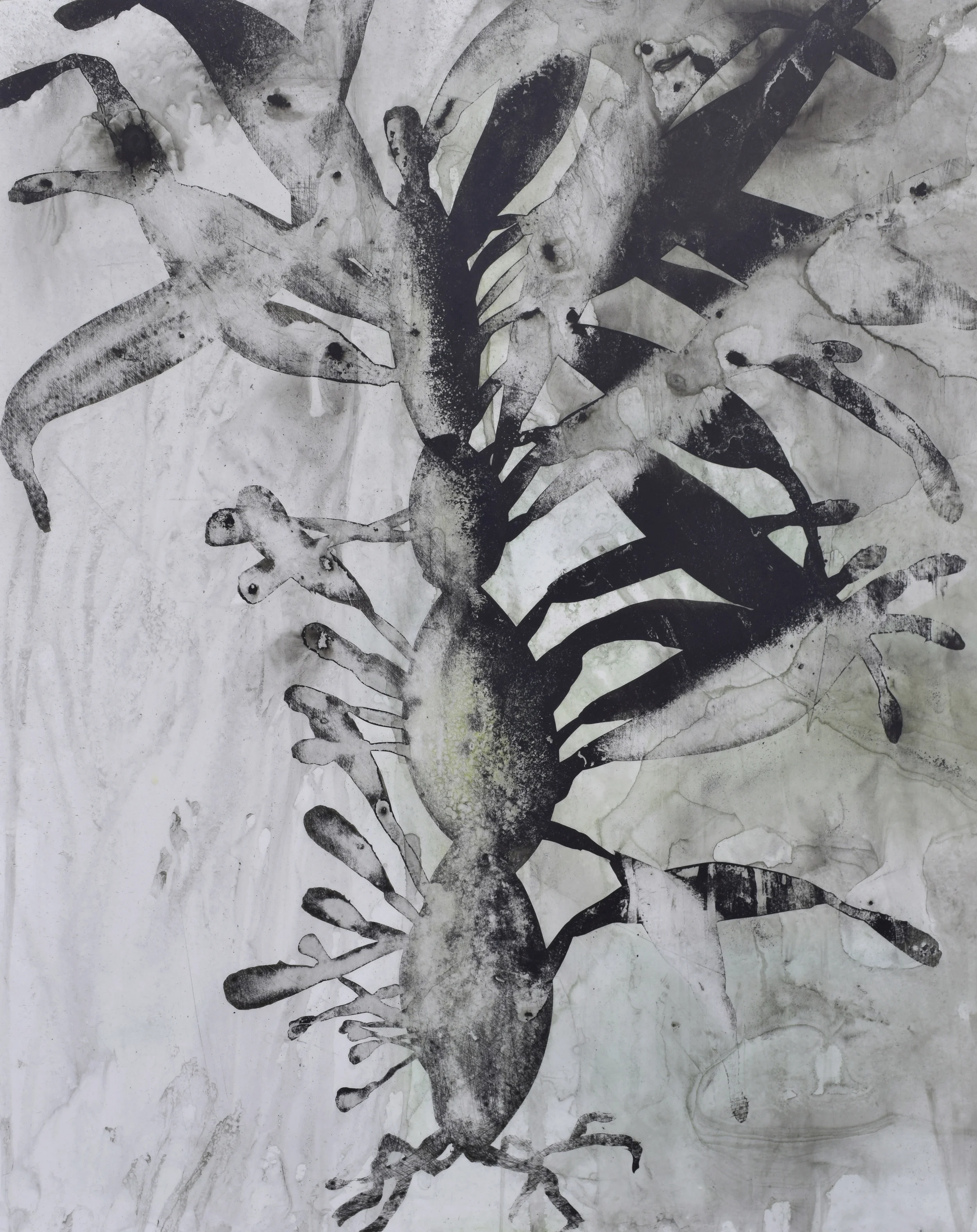Seaweed study V 20x16.jpg