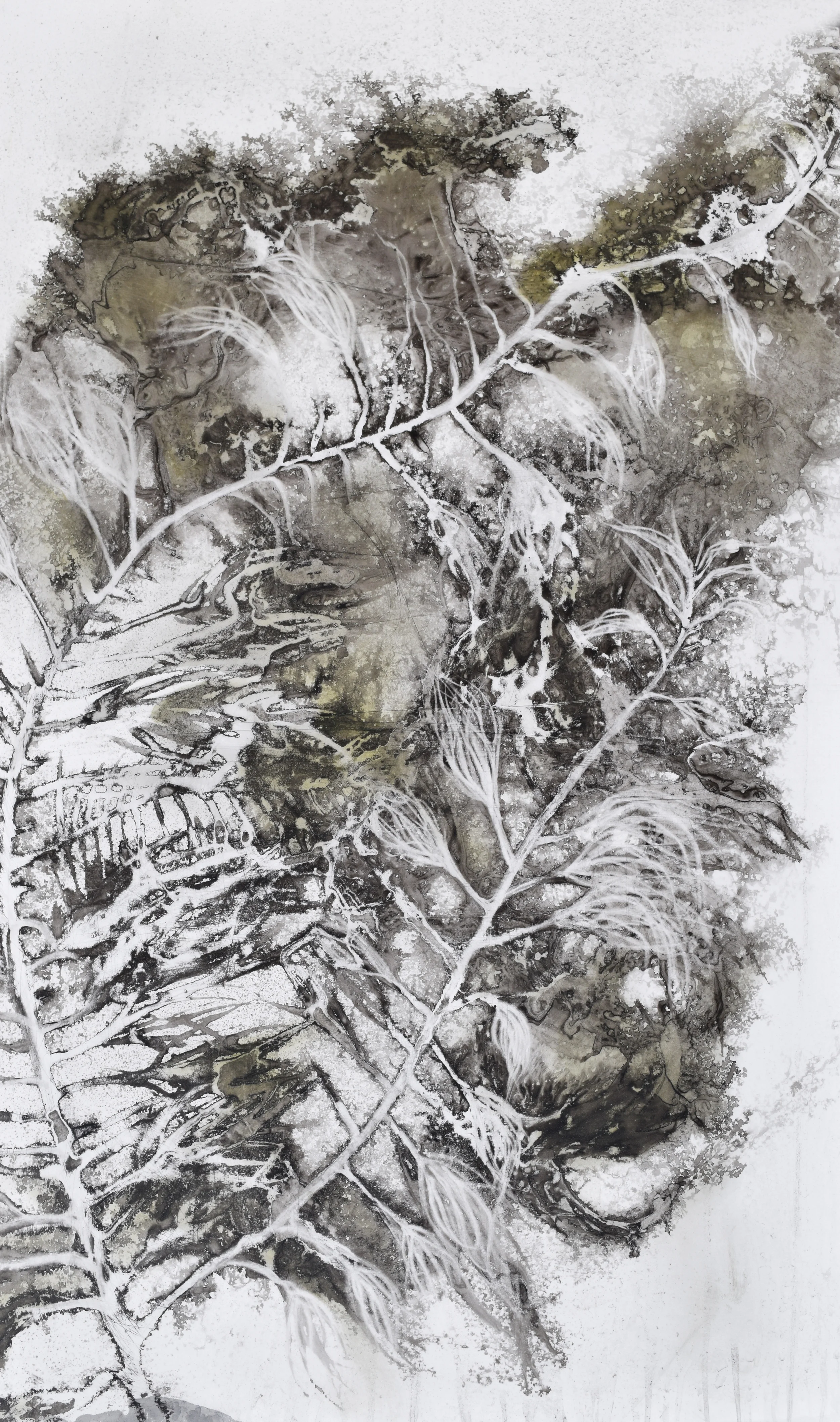seaweed study VII