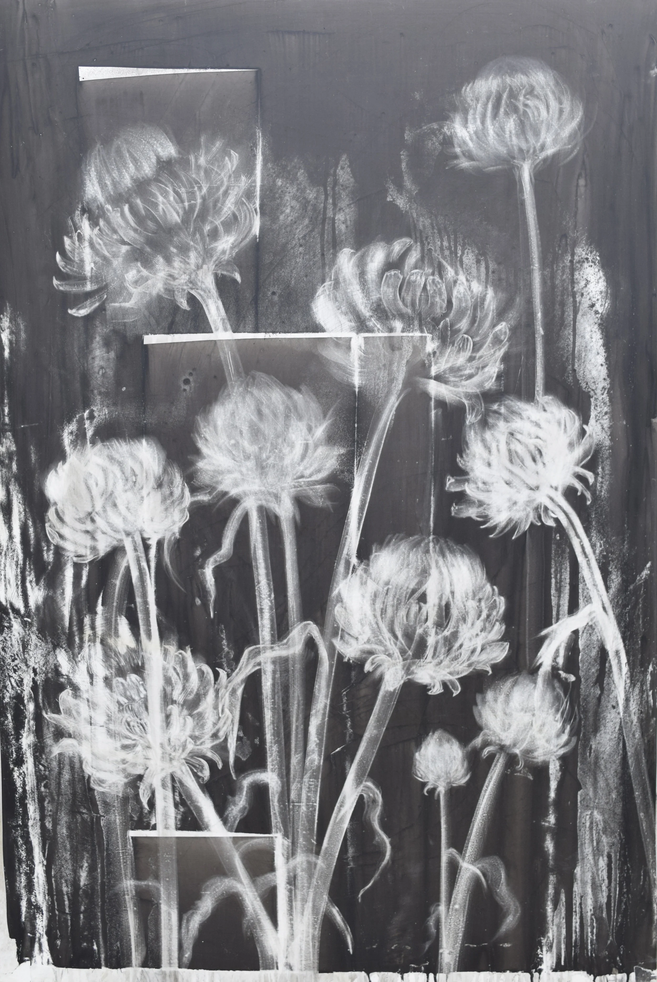 Artichokes 60x40.jpg