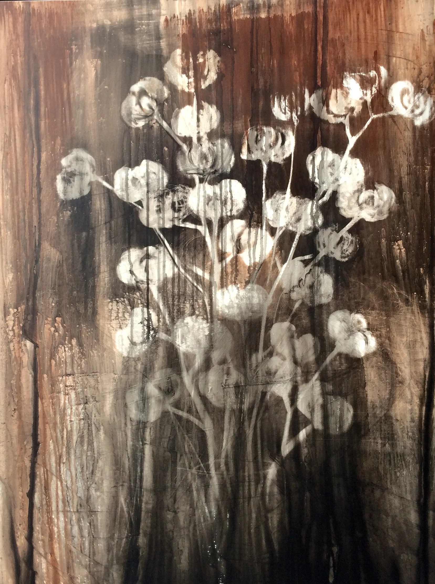 cotton 