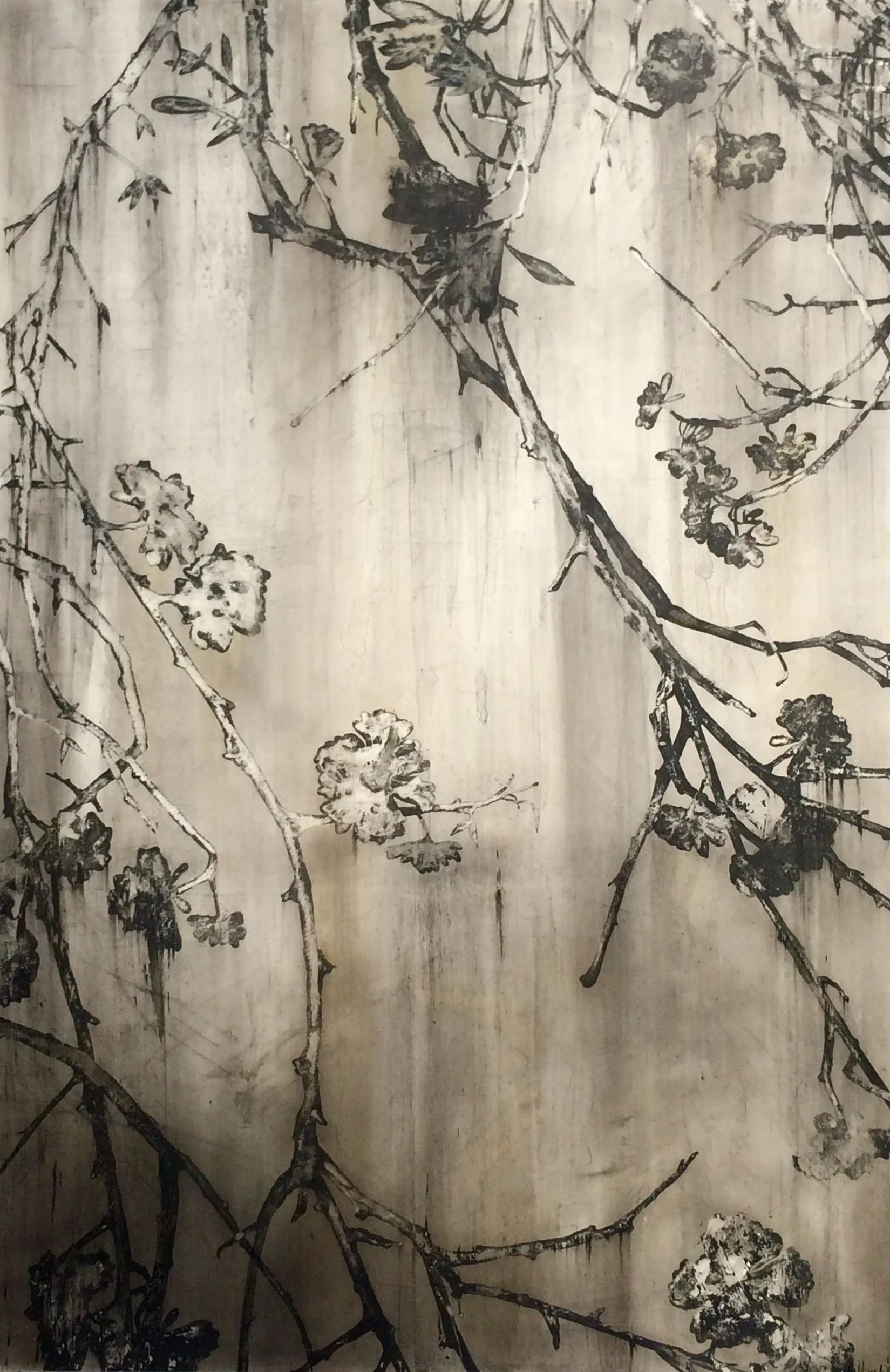 Cherry Blossom