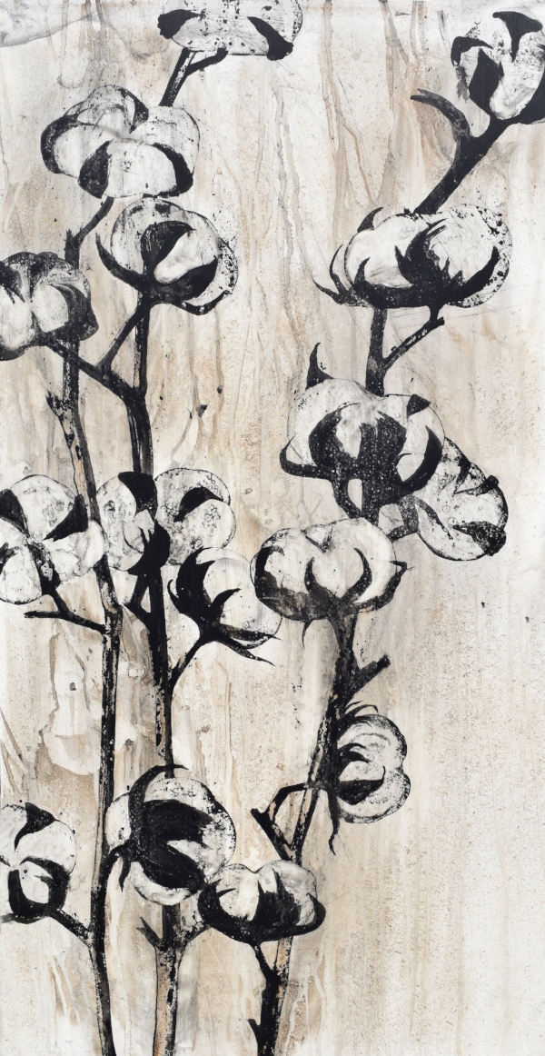 Cotton II