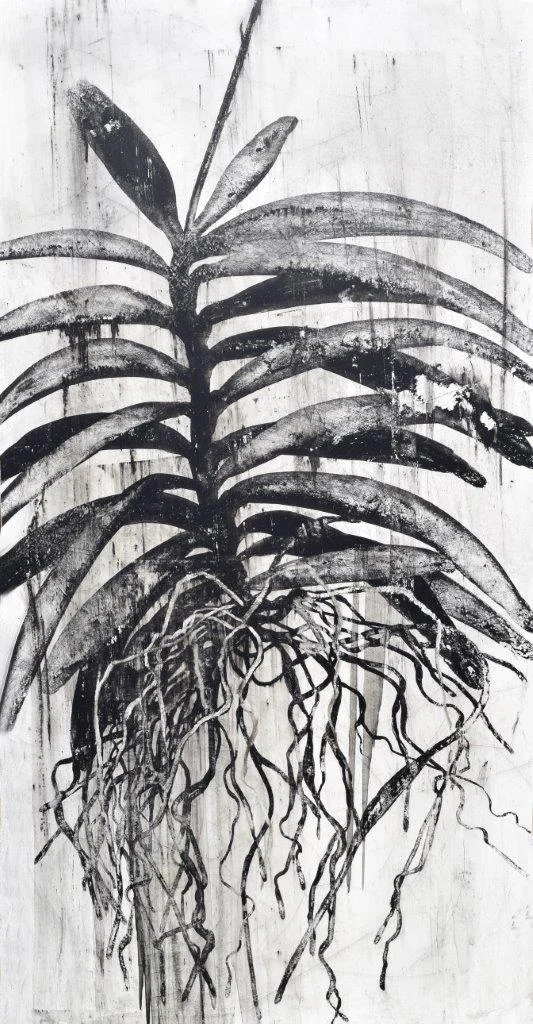 orchid III