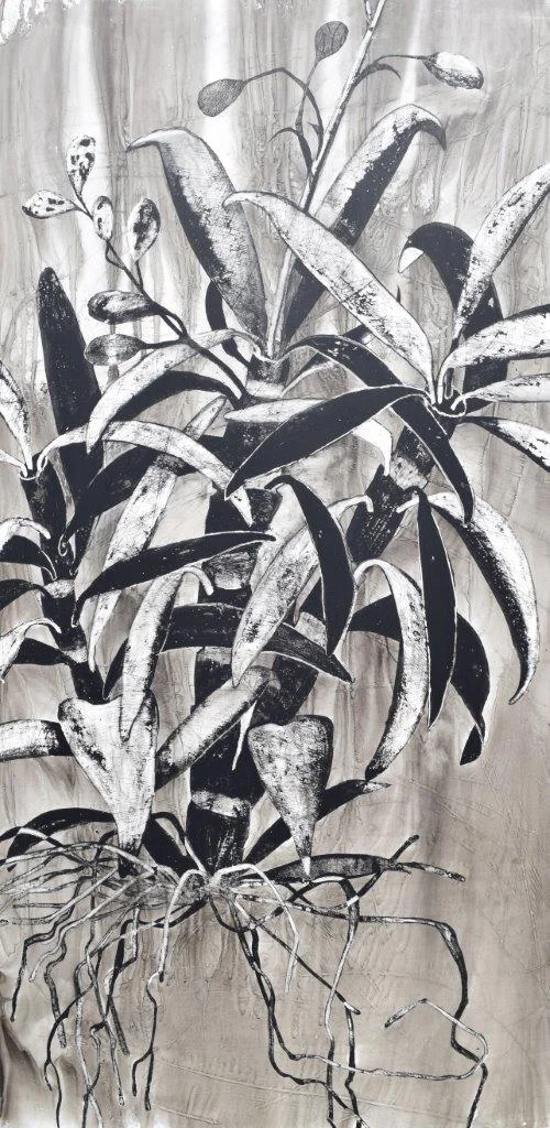 orchid IV