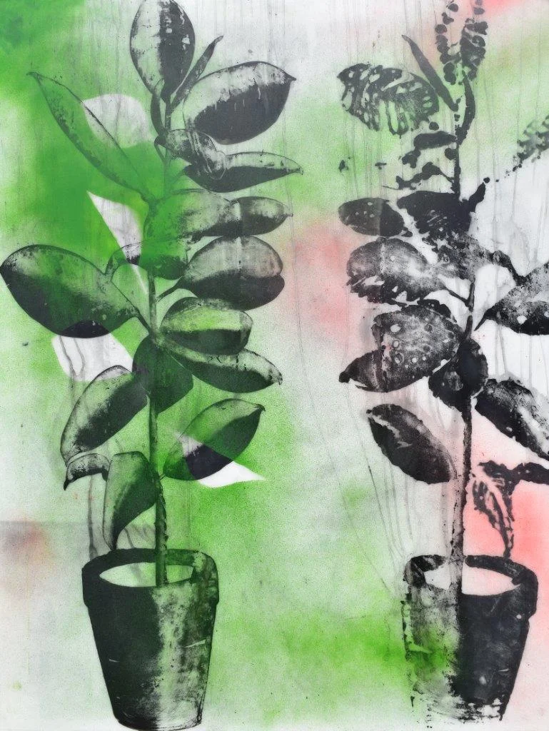 pink and green II