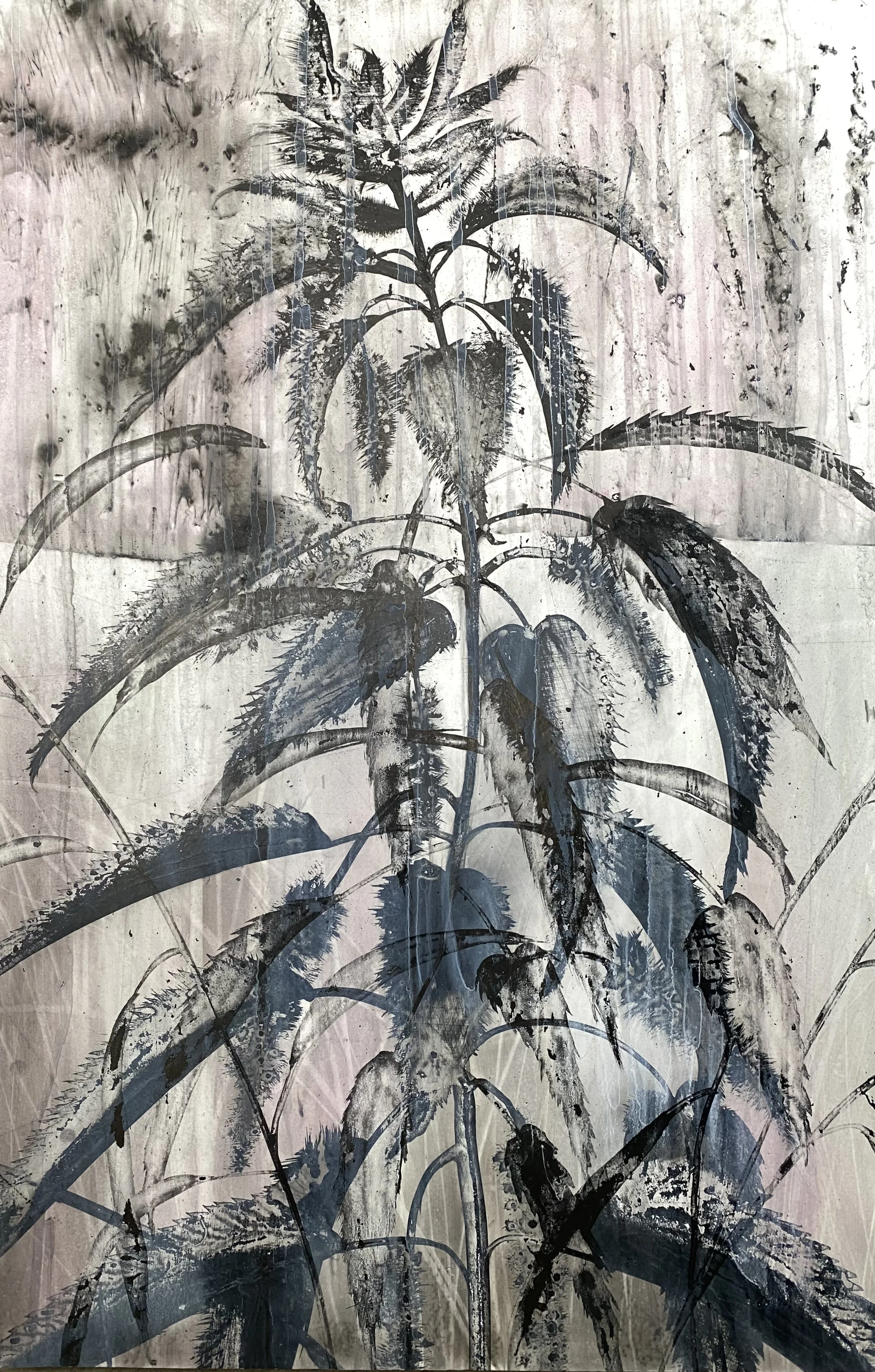 Nettle