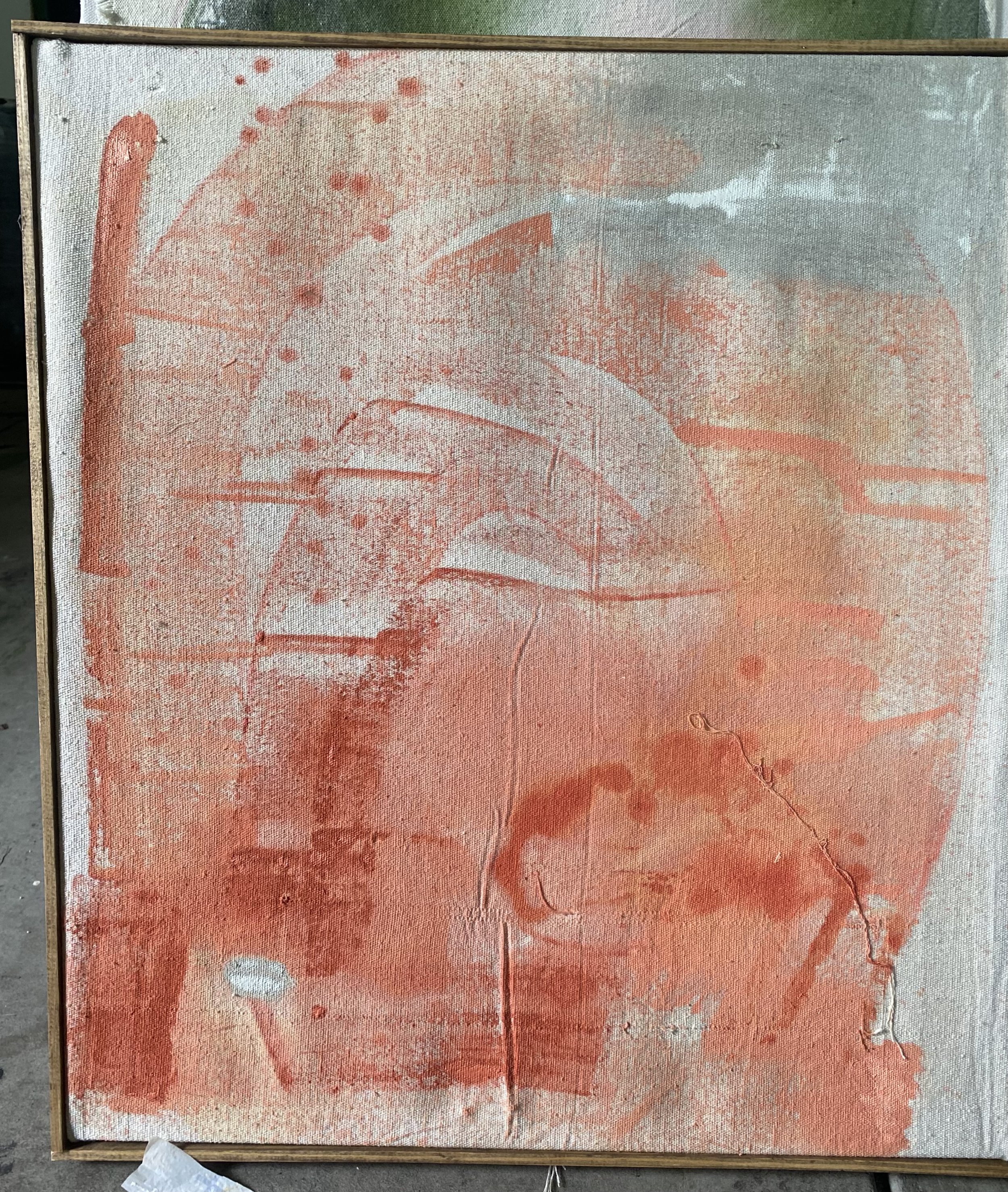 Alter #3 (salmon and smoke) 22"x18"3/4"