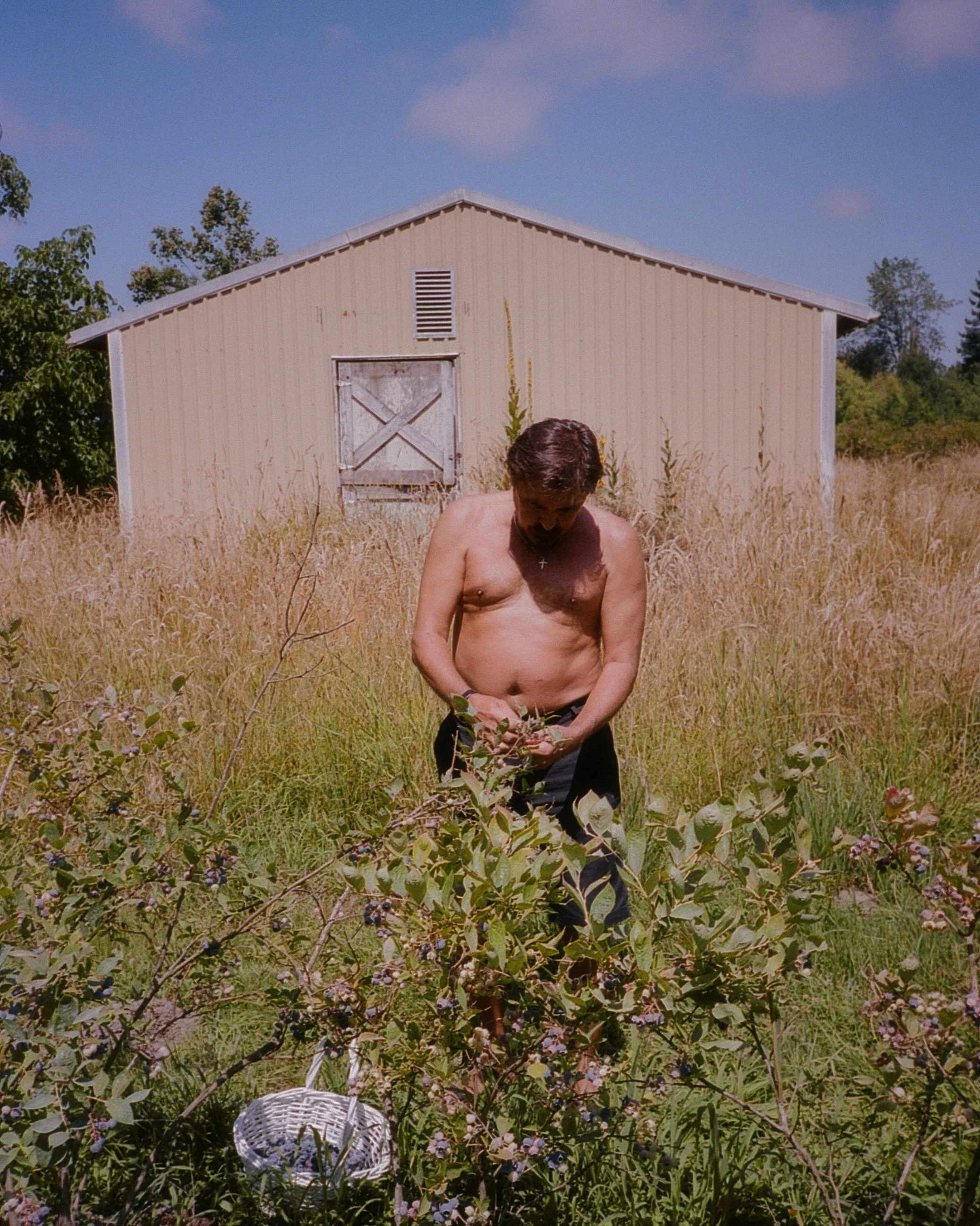 Hanna_Hazel_Harvest.jpg