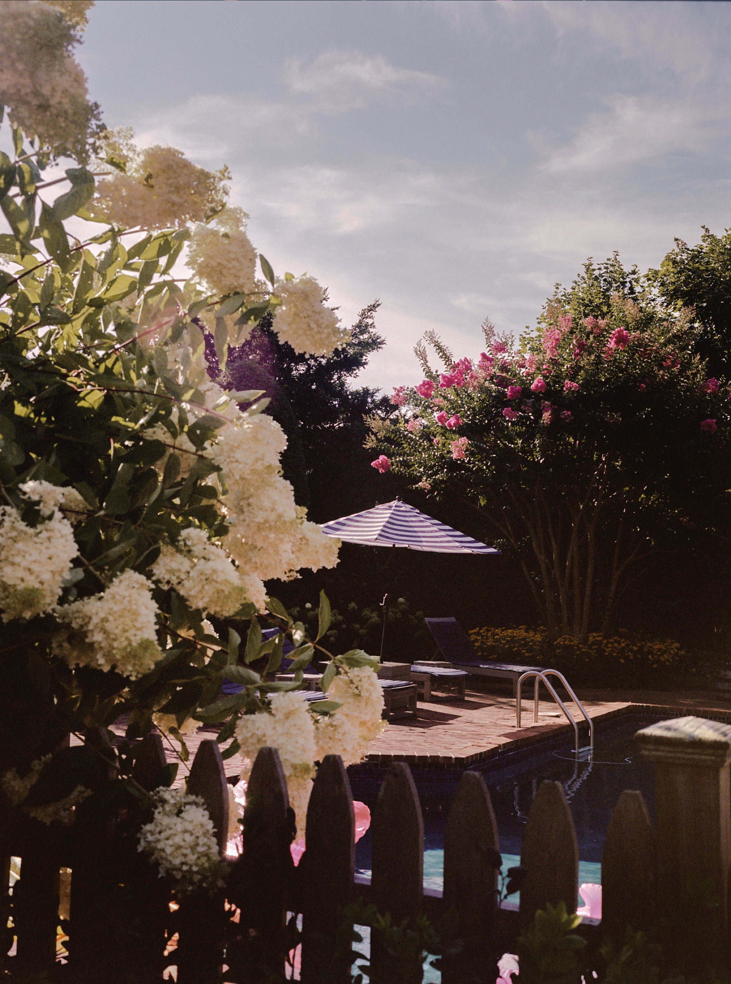 hanna_hazel_hampton_summer.jpg