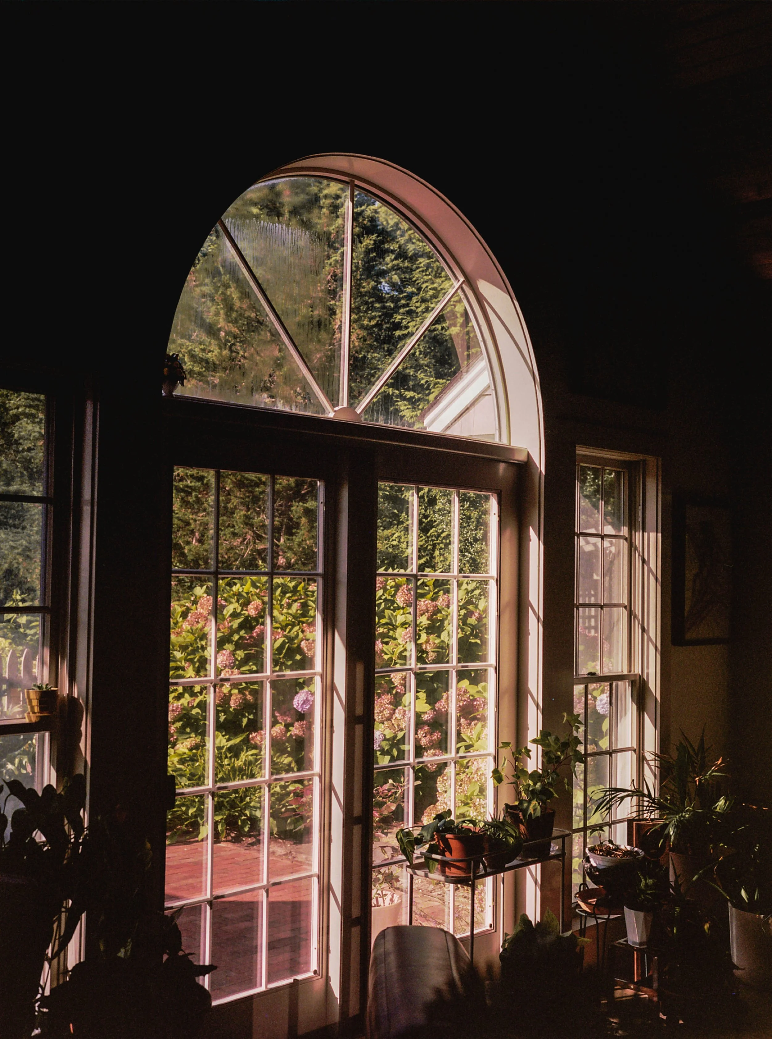 hanna_hazel_morning_Light.jpg