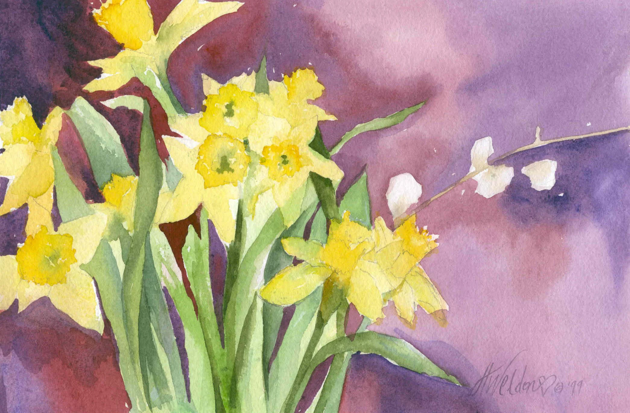 daffodilfx.JPG