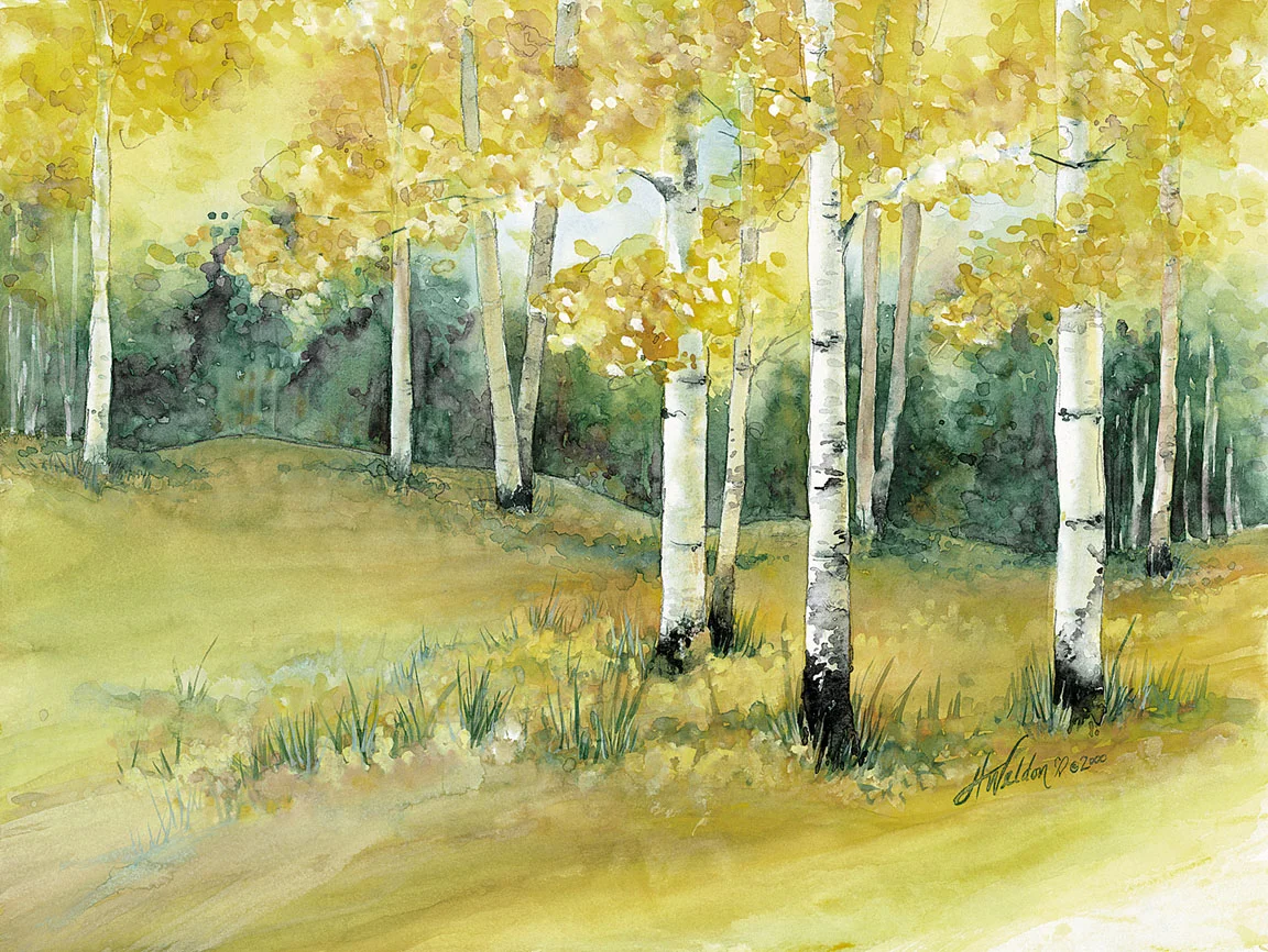 Autumn's Grace.JPG